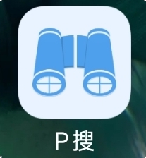 P 搜